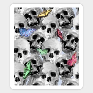 Skull Butterfly, Skulls And Rainbow Butterflies Sticker